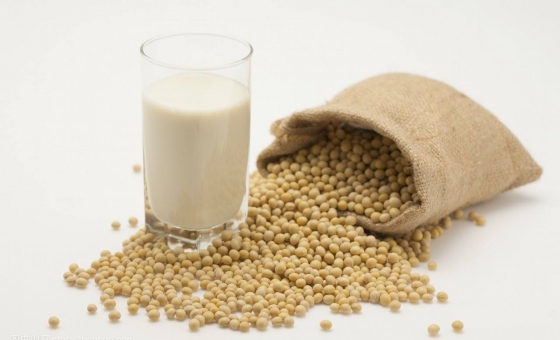 28圈·(中国区)官方网站